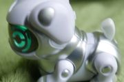 Teksta Robot Dog