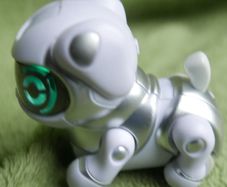 Teksta Robot Dog