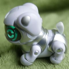 Teksta Robot Dog