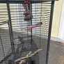 Large Parrot Cage Image 3