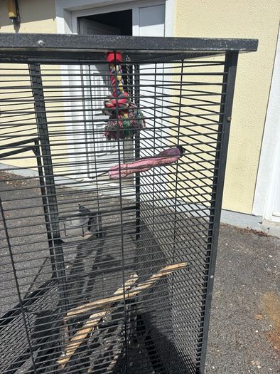 Large Parrot Cage