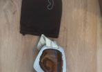 Ski Goggles