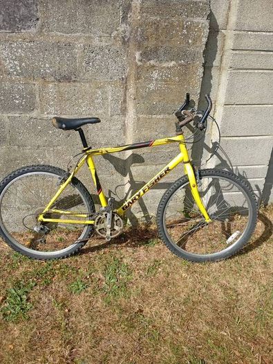 Bicycle Garry Fisher Vintage MTB