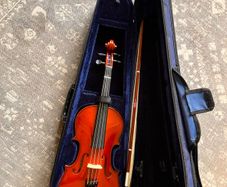 Primavera 3/4 violin bow and case