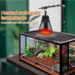 Pet Heat Lamp & Bulb