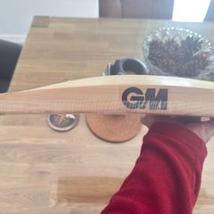 cricket bat GM 404