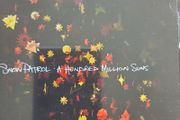 Snow Patrol - A hundred Millions Suns.
