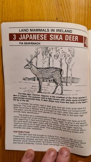 Land Mammals In Ireland. Issued By Forest And Wildlife Service. Leesonane Dublin. Booklet.1986.