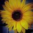 nannyrose8