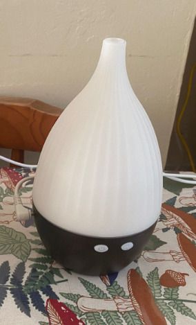 Essential oil diffuser