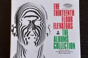 The 13th Floor Elevators