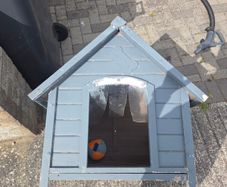 Small dog kennel