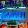 Red Bull vestafrost countertop cooler Image 5