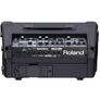 RolandCube Street EX Battery Busking Amp Image 2