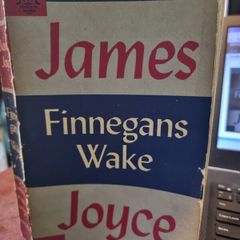 Finnegan's Wake - James Joyce 1966 viking compass books