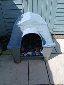kennel