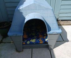 kennel