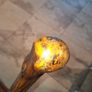 walking stick Image 4