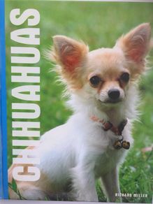 Chihuahuas
