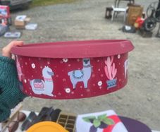 tupperware Lama Container