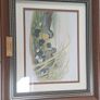 John Gould Framed Vintage Prints - Set of 3 Image 5