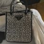 Prada Panier crystal bag Image 3