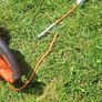 hedge cutter Image 3