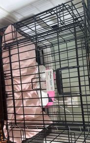 dog crate