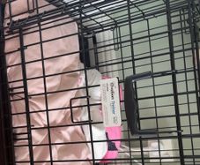 dog crate