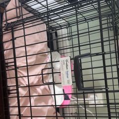 dog crate