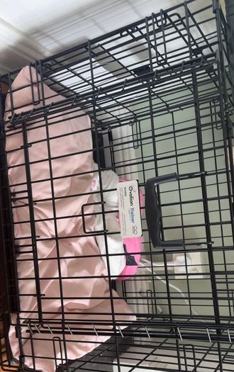 dog crate