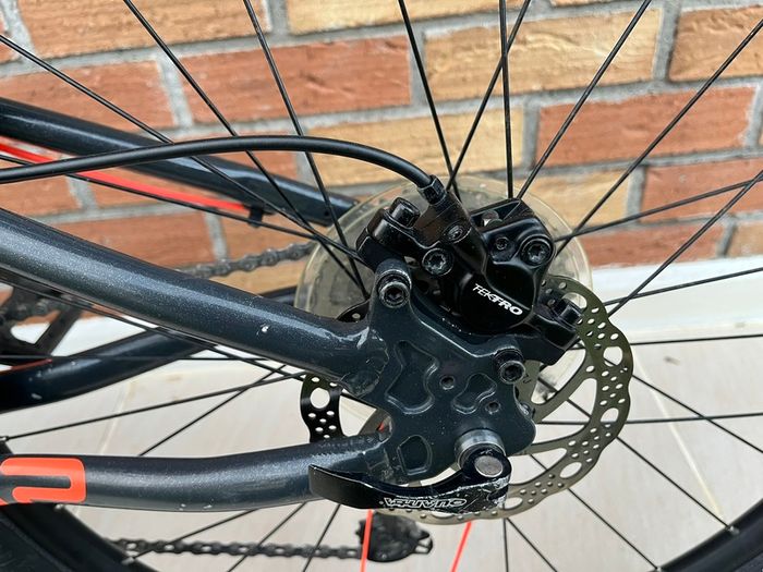 Frog Mountain Bike