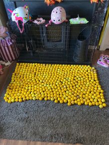 500 Driving Range Golf Balls