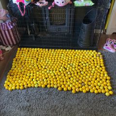 500 Driving Range Golf Balls