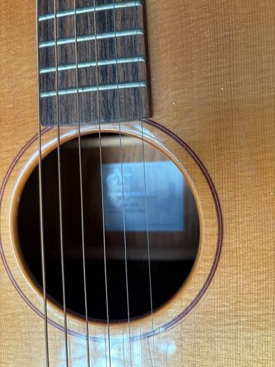Avalon Silver DS-100 Acoustic Guitar