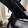 Zummi Zip Buggy Image 2