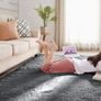 Rugs Living Room - Grey Area Rugs for Bedroom Anti Slip - Modern Super Soft Thick Pile Small Fluffy Shaggy Rug Non Shedding Image 7