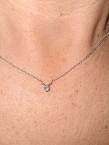 Taurus necklace