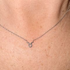 Taurus necklace