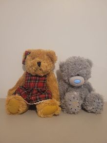 teddy x 2
