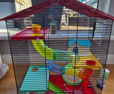 hamster cage & accessories