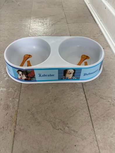 Double pet bowl