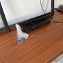 SANUS Extending wall bracket large tv Image 3