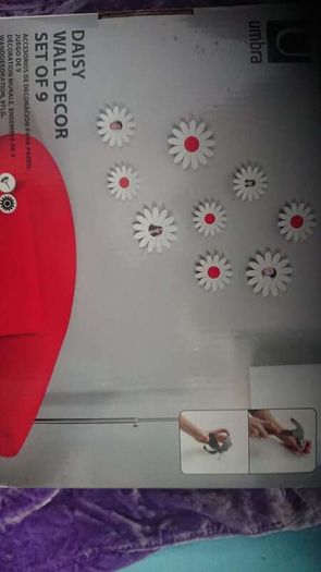 Daisy Wall decoration/ photo frames