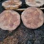 slabs Image 4