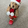 Snooty Nours Teddy Bear Image 5