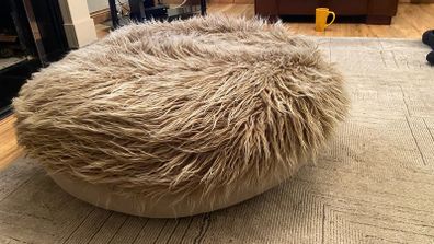 Large dog bed - Cloud 7