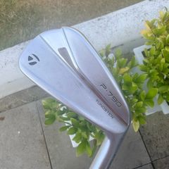 Taylormade P790 2 Iron
