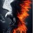 Phoenix_boy60