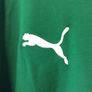 Ireland Rugby Jersey. Season 2011/2012. Official Puma Mens Long Sleeved Home Jersey. Authentic Original From 2011. Not A Modern Day Remake. Image 5